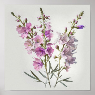 Pink Larkspur Flower Art Print Poster