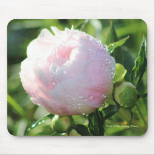 Pink Late Spring Peony Mouse Pad