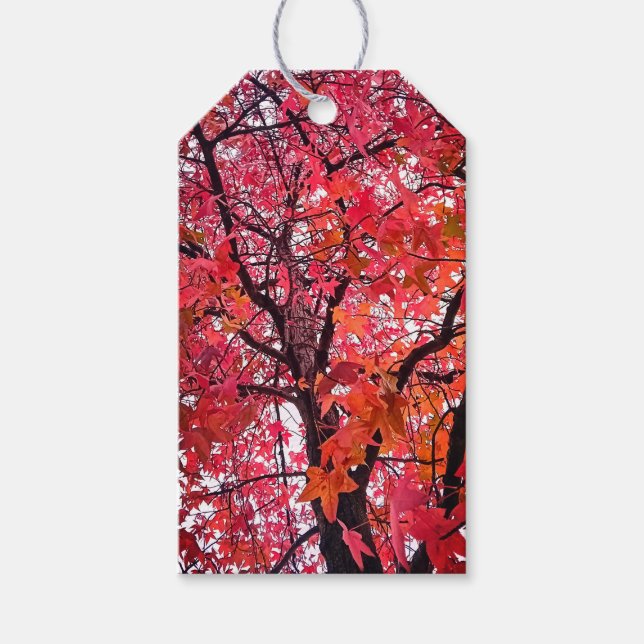 Pink leaves gift tags (Front)