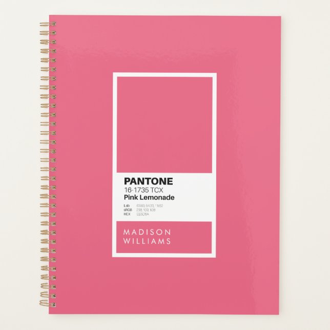 Pink Lemonade Minimalist Colour Palette Swatch  Planner (Front)