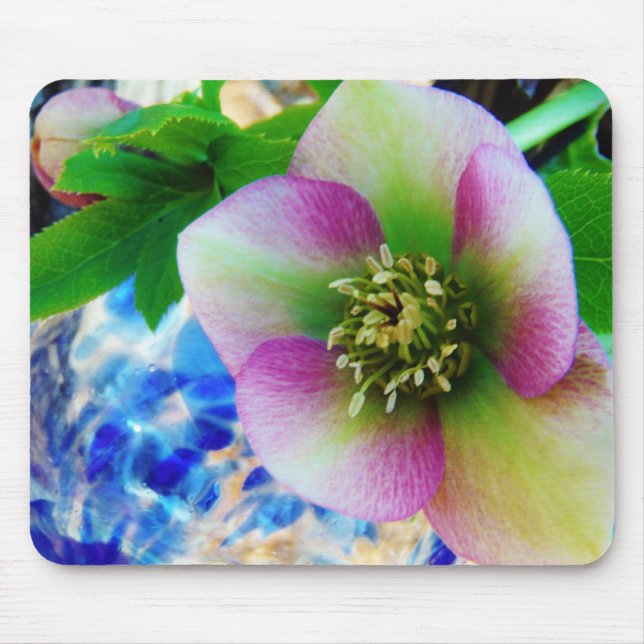 Pink Lenten Rose blue glass ball Mouse Pad (Front)