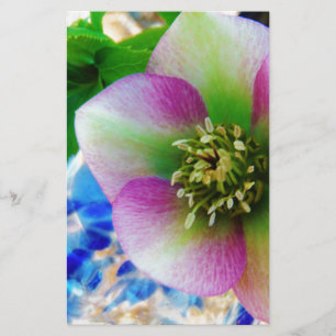 Pink Lenten Rose blue glass ball Stationery