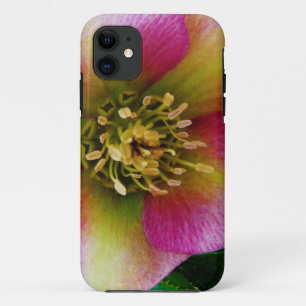 Pink Lenten Rose, Case-Mate iPhone Case