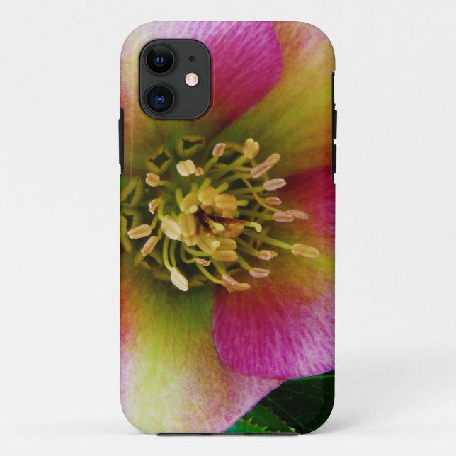 Pink Lenten Rose, Case-Mate iPhone Case (Back)