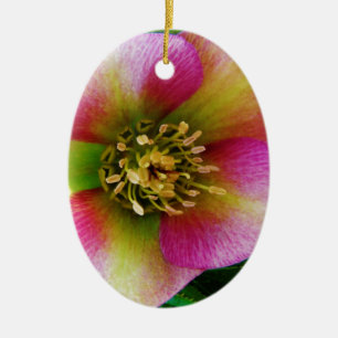 Pink Lenten Rose, Ceramic Tree Decoration
