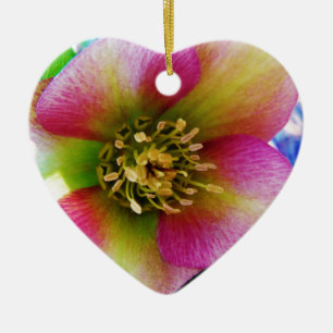 Pink Lenten Rose, Ceramic Tree Decoration
