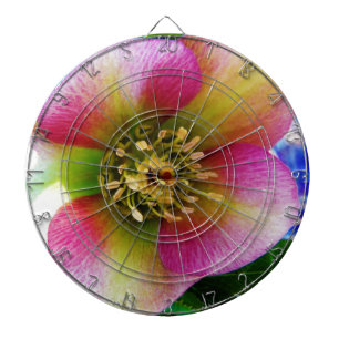 Pink Lenten Rose, Dartboard