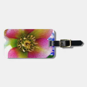 Pink Lenten Rose, Luggage Tag