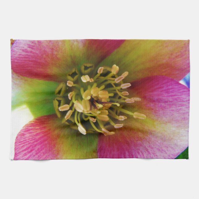 Pink Lenten Rose, Tea Towel (Horizontal)