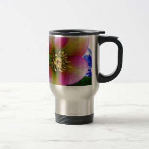 Pink Lenten Rose, Travel Mug
