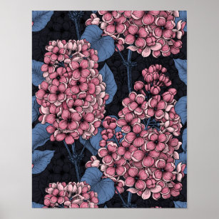 Pink lilac on dark blue poster