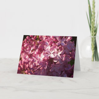 Pink Lilacs Greeting Card
