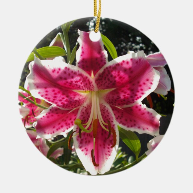 Pink lilies pink tropical flowers pink floral ceramic tree decoration (Front)