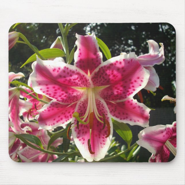 Pink lilies pink tropical flowers pink floral mouse pad (Front)