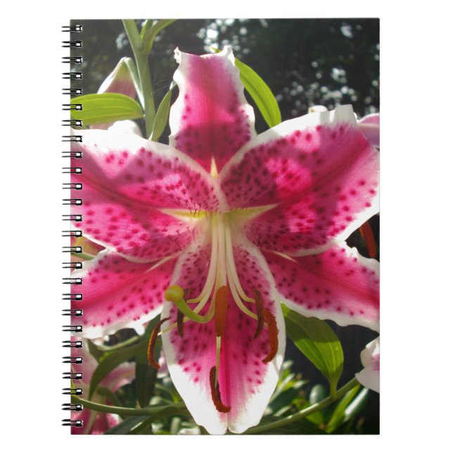 Pink lilies pink tropical flowers pink floral spiral notebook (Front)