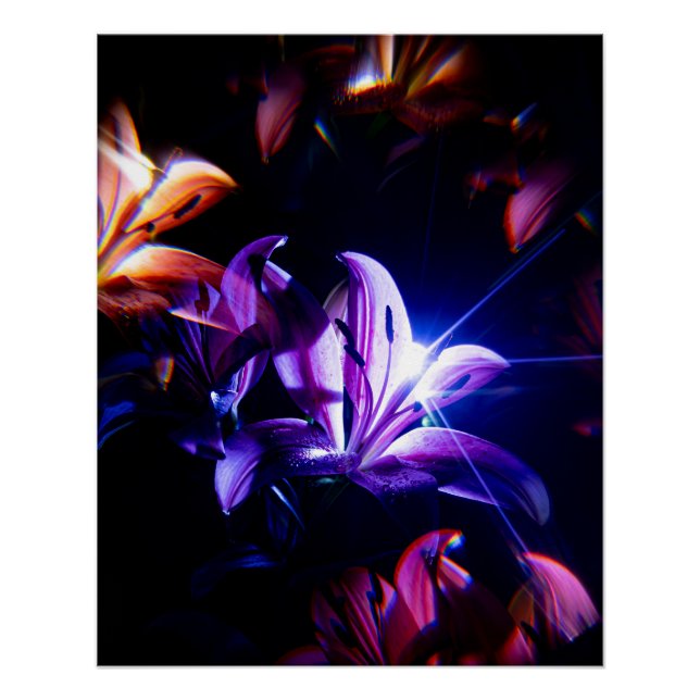 Pink Lilies Reflection with Light Rays Poster (Front)