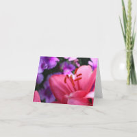 Pink Lilly and Purple Flowers