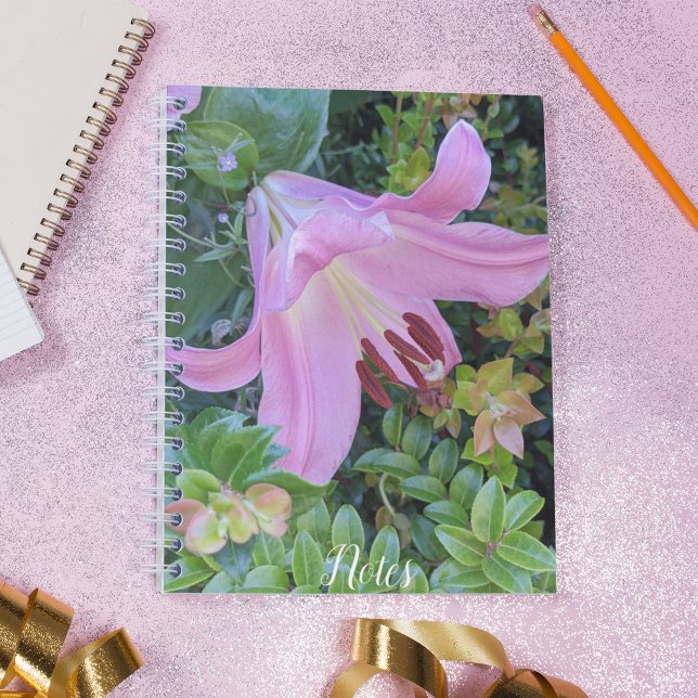 Pink Lily Bloom Floral Notebook (In Situ)