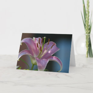 PINK LILY CARD