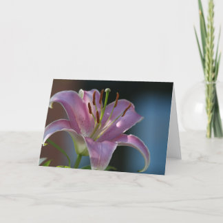 PINK LILY CARD