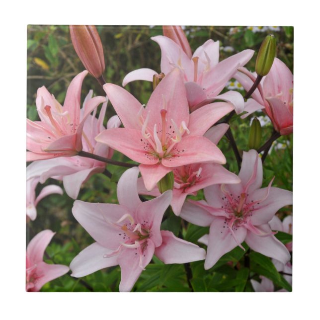 Pink lily floral beauty  tile (Front)