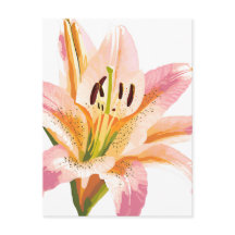Pink Lily Flower | Watercolor Floral Painting