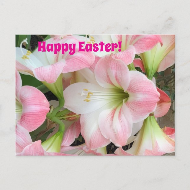 Pink Lily “Happy Easter” Postcard (Front)