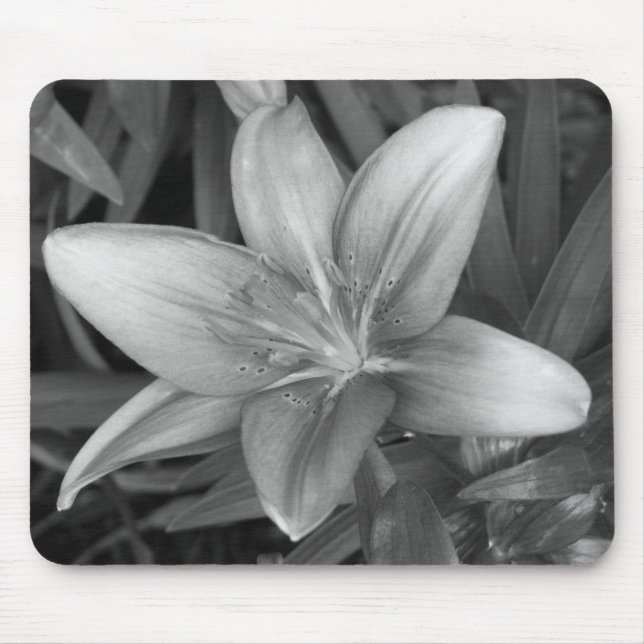 Pink Lily Mouse Pad (Front)