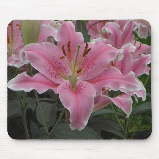 Pink Lily Mousepad (Front)