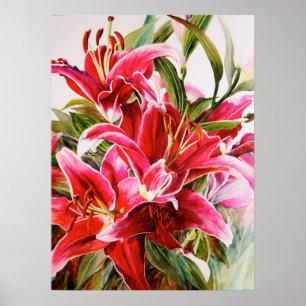 Pink Lily Original Botanical Print Canvas Poster