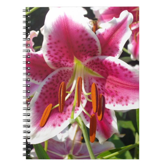 Pink lily pink floral pink flower tropical flower notebook (Front)