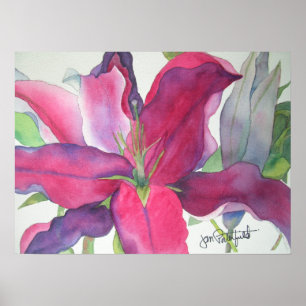 Pink Lily Print