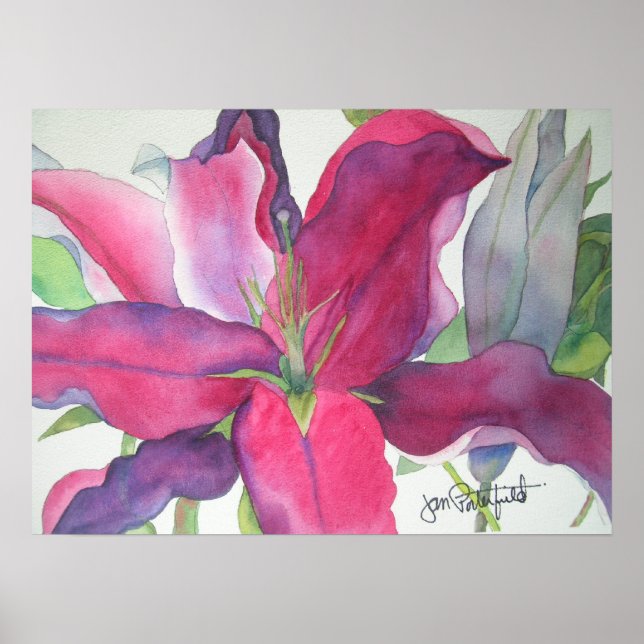 Pink Lily Print (Front)