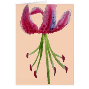 Pink Lily watercolour modern flower floral art