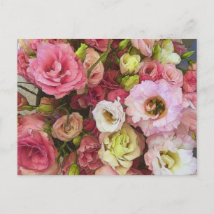 Pink Lisianthus Flowers Postcard