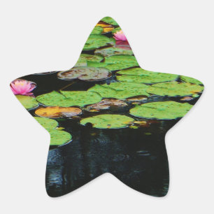 pink lotus black star sticker