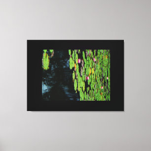 pink lotus black water canvas print