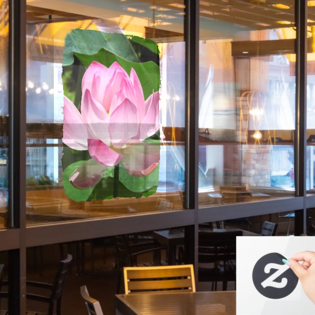 Pink Lotus Bloom (Restaurant Window)