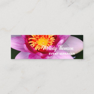 Pink Lotus Bloom , Mini Business Card