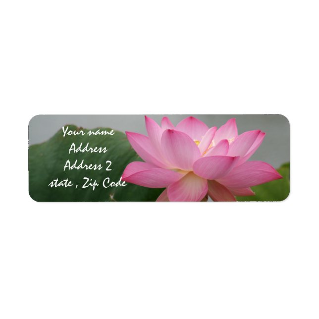 Pink Lotus Blossom (Front)