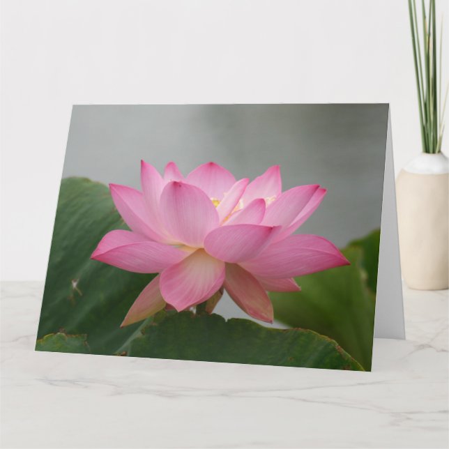 Pink Lotus Blossom Card (Front)