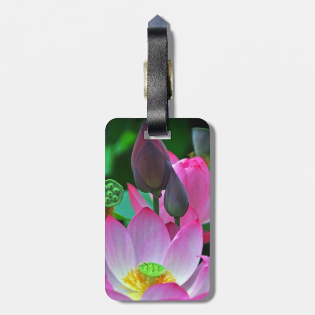 Pink Lotus Blossoms Luggage Tag (Back Vertical)