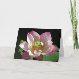 Pink Lotus Card