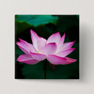 Pink Lotus Flower 15 Cm Square Badge