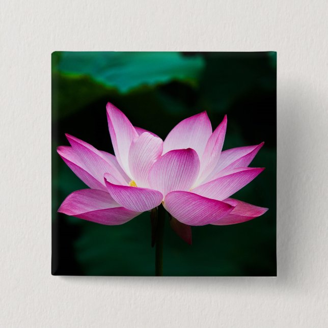 Pink Lotus Flower 15 Cm Square Badge (Front)