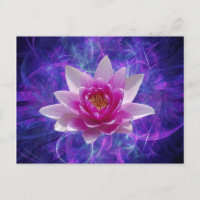 Pink lotus flower and meaning