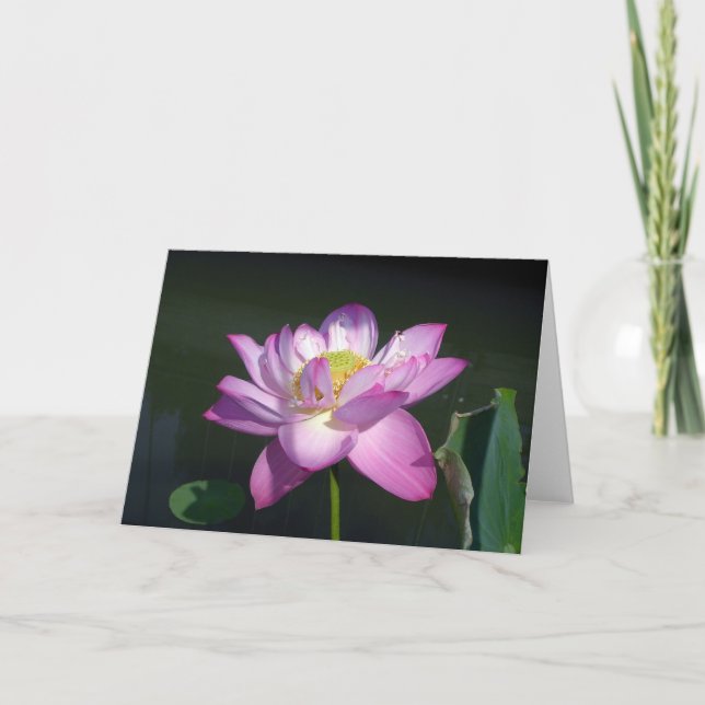 Pink Lotus Flower Card (Front)