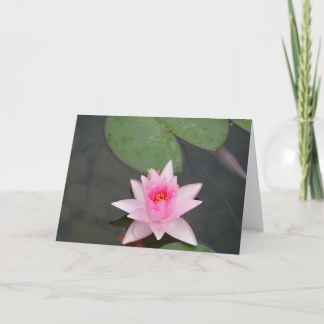 Pink Lotus Flower Card (Front)
