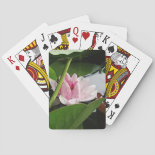 Pink Lotus Flower Cards
