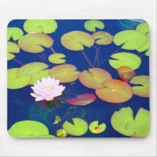 Pink Lotus Flower floating with lily pads on pond Mouse Pad